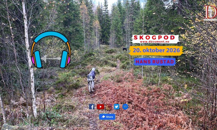 Hunder på tur i skogen, Skogpod